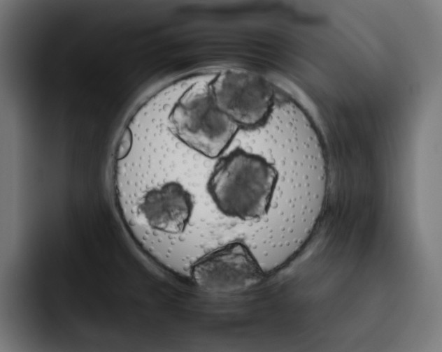 X0000092051429200710031034