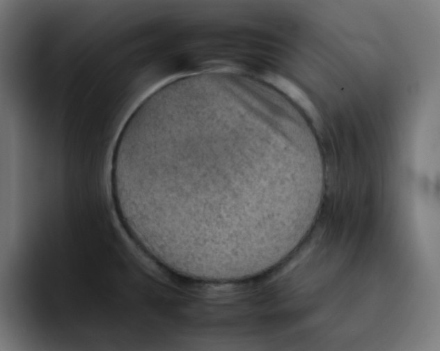 X0000092051431200710031034