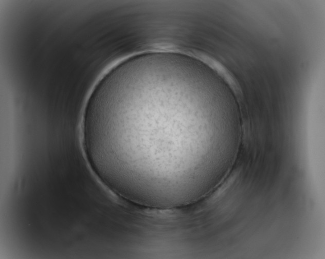 X0000092051432200710031034