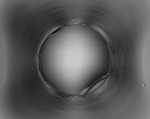 X0000092051434200710031034