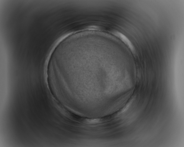 X0000092051435200710031034