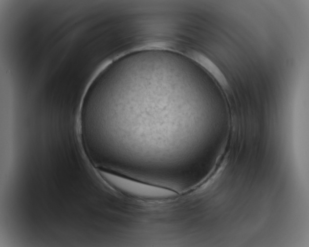 X0000092051436200710031034