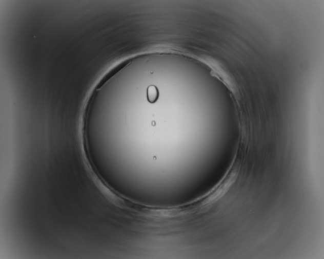 X0000092051438200710031034