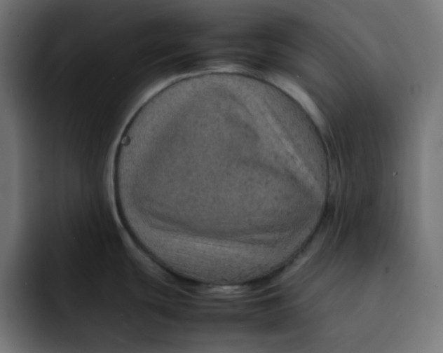 X0000092051439200710031034