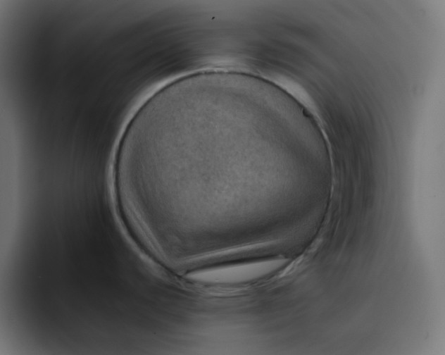 X0000092051440200710031034