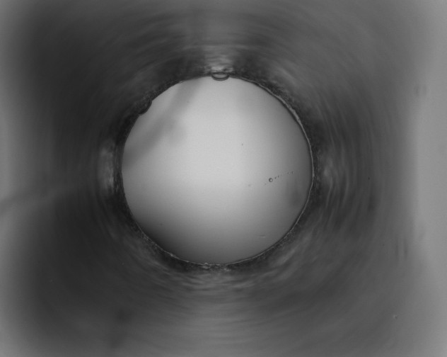 X0000092051442200710031034