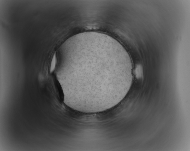 X0000092051444200710031034