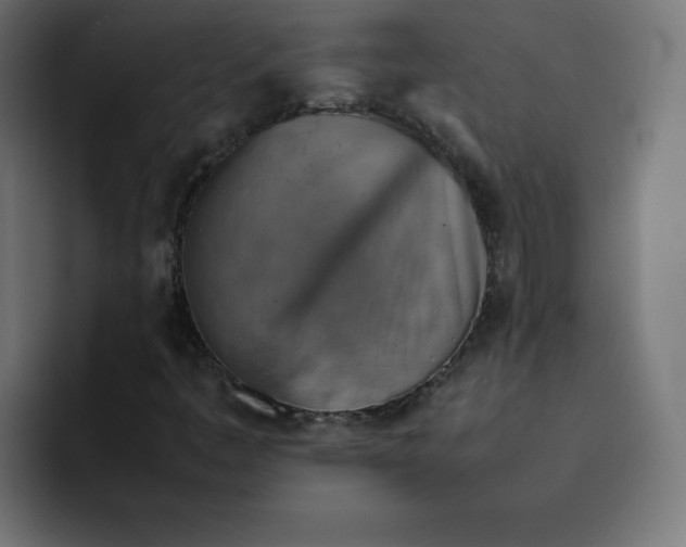 X0000092051445200710031034