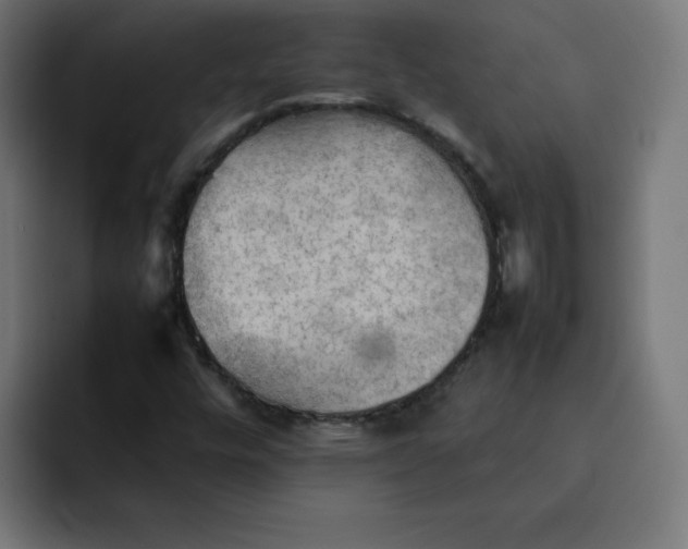 X0000092051448200710031034