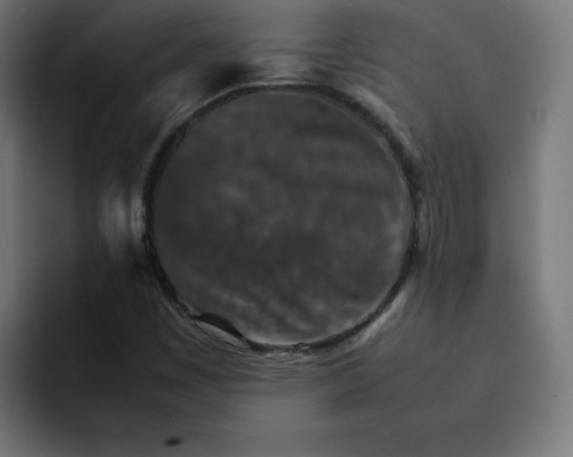 X0000092051449200710031034