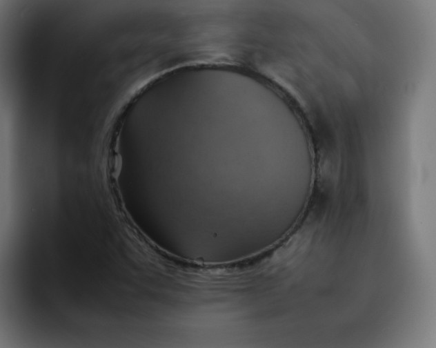 X0000092051455200710031034