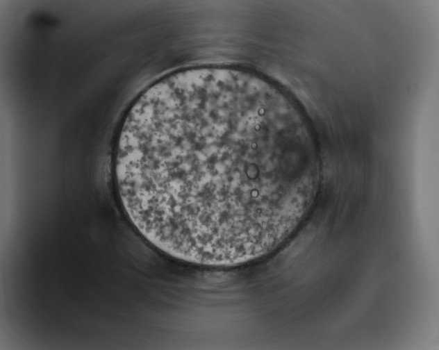 X0000092051459200710031034