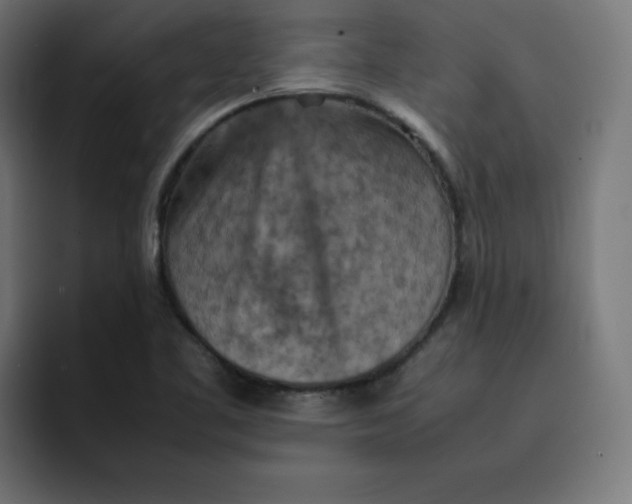 X0000092051461200710031034