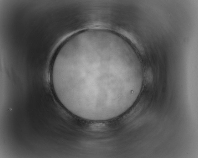 X0000092051462200710031034