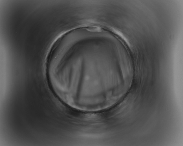 X0000092051463200710031034