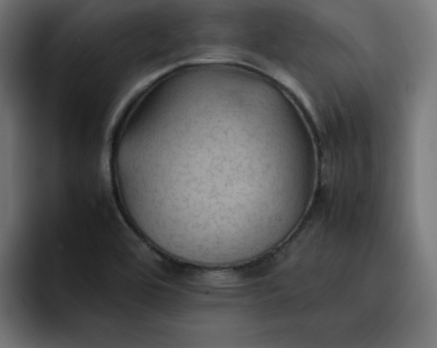 X0000092051464200710031034