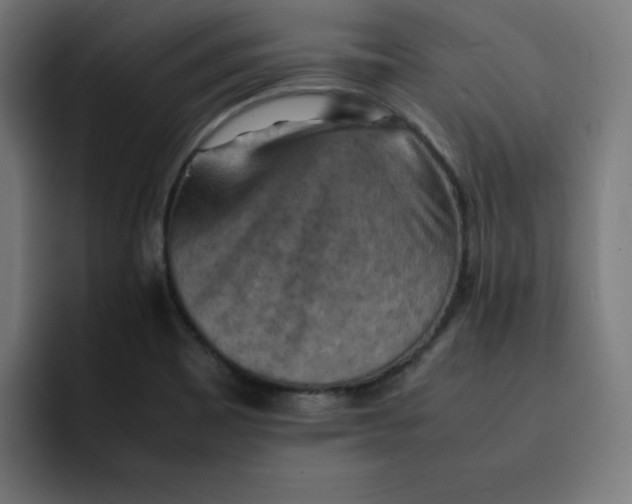 X0000092051465200710031034