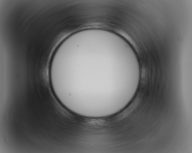 X0000092051466200710031034