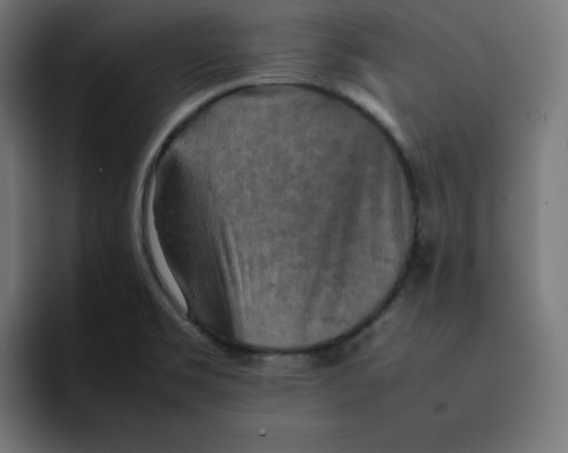 X0000092051469200710031034