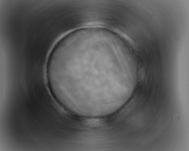 X0000092051470200710031034