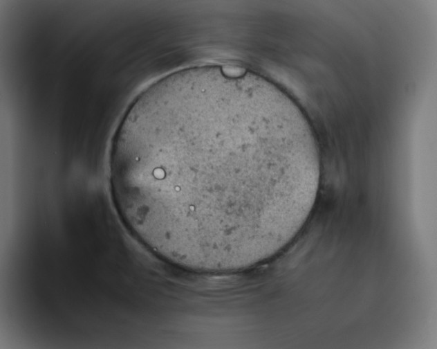 X0000092051471200710031034