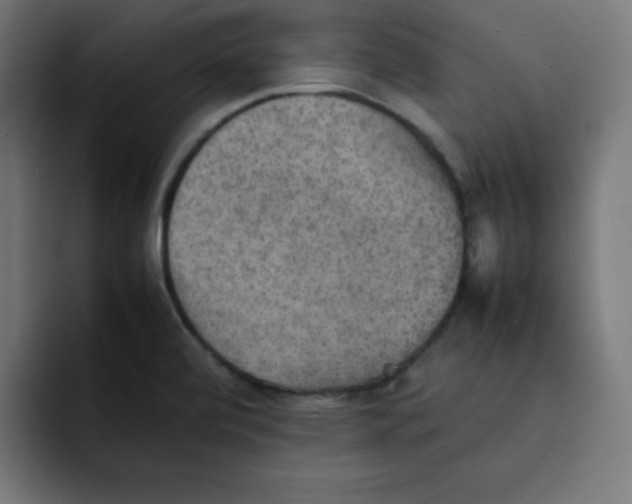 X0000092051472200710031034