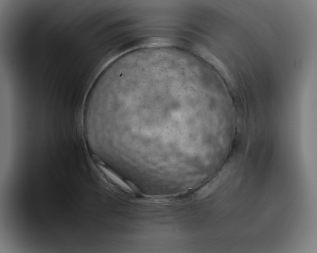 X0000092051473200710031034