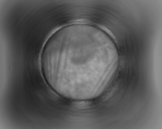 X0000092051474200710031034