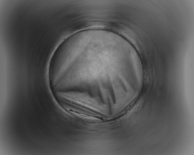 X0000092051475200710031034