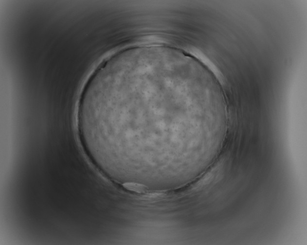 X0000092051477200710031034