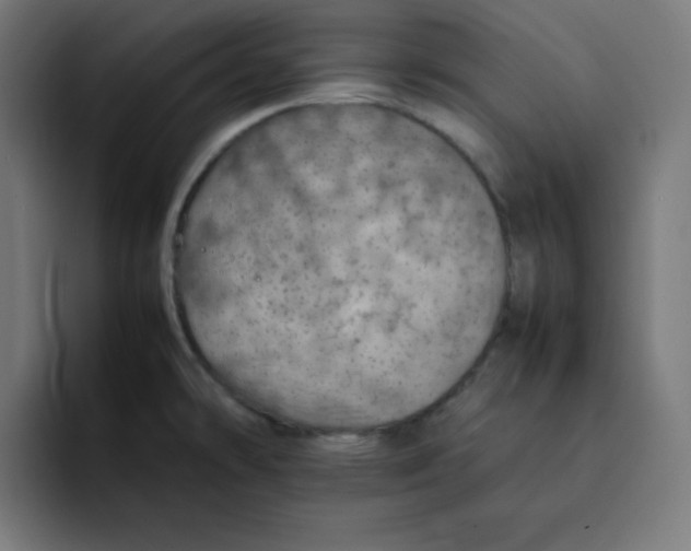 X0000092051478200710031033