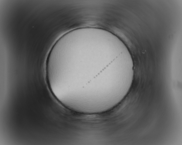 X0000092051479200710031033