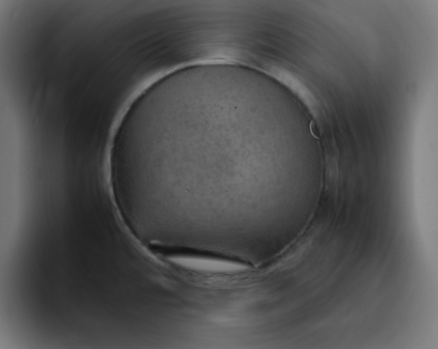 X0000092051480200710031033