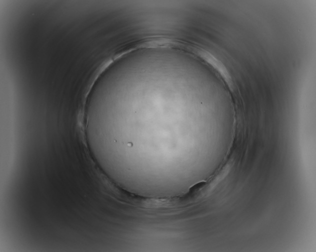 X0000092051481200710031033