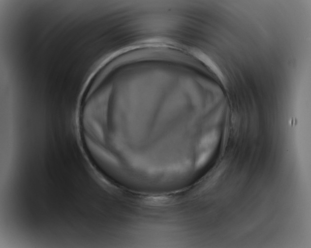 X0000092051482200710031033