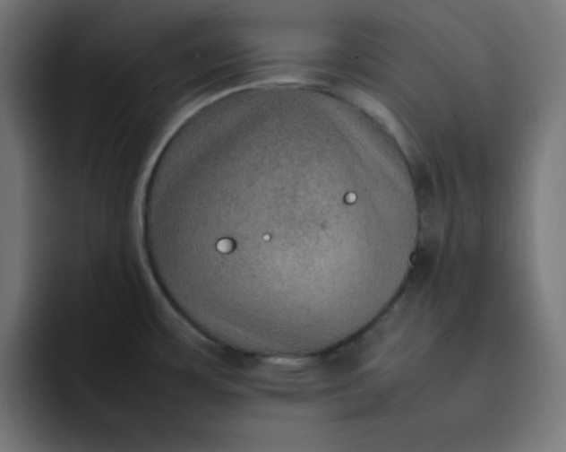 X0000092051483200710031033