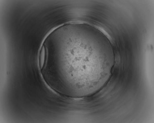 X0000092051484200710031033