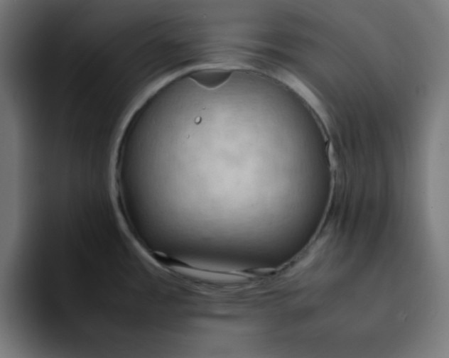 X0000092051485200710031033