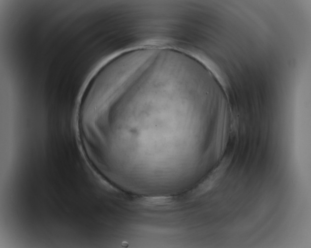 X0000092051486200710031033