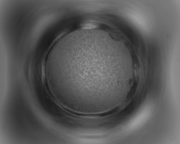 X0000092051487200710031033