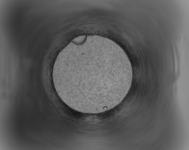 X0000092051489200710031033