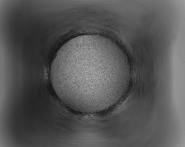 X0000092051490200710031033