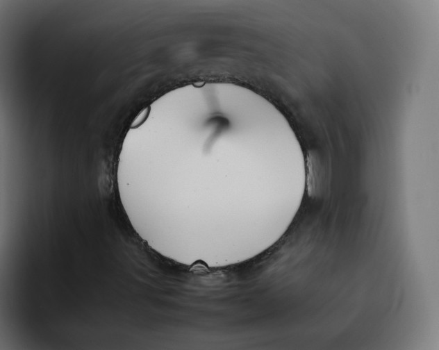 X0000092051491200710031033