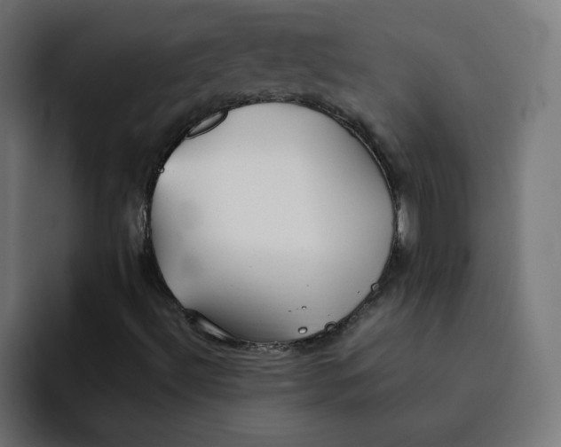 X0000092051492200710031033