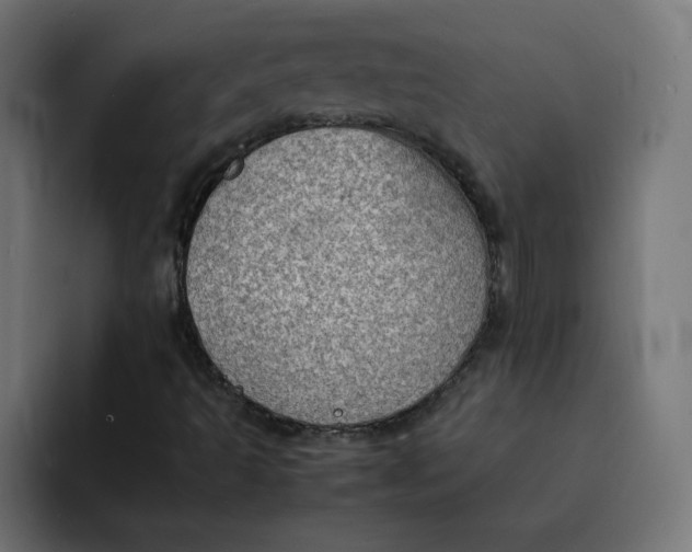 X0000092051493200710031033