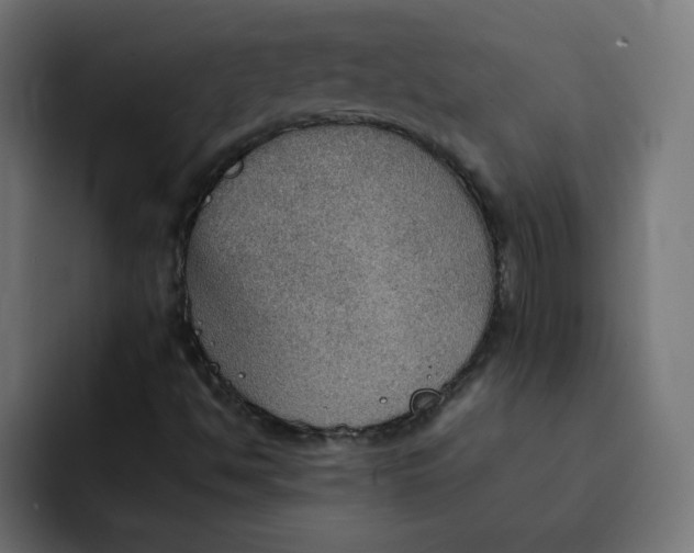 X0000092051494200710031033