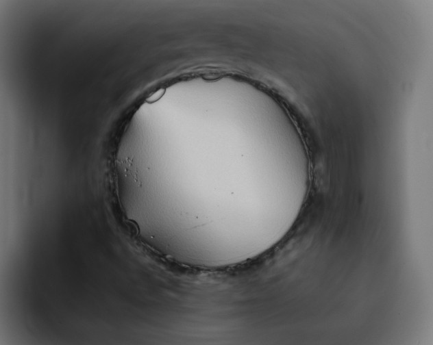 X0000092051496200710031033