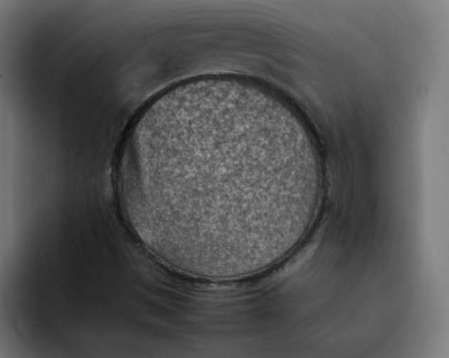 X0000092051497200710031033