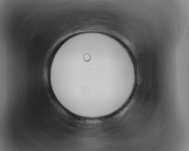 X0000092051498200710031033