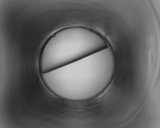 X0000092051500200710031033